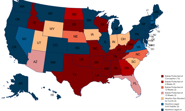Almost One Year After Dobbs, 15 States are Protecting Babies From Abortions
