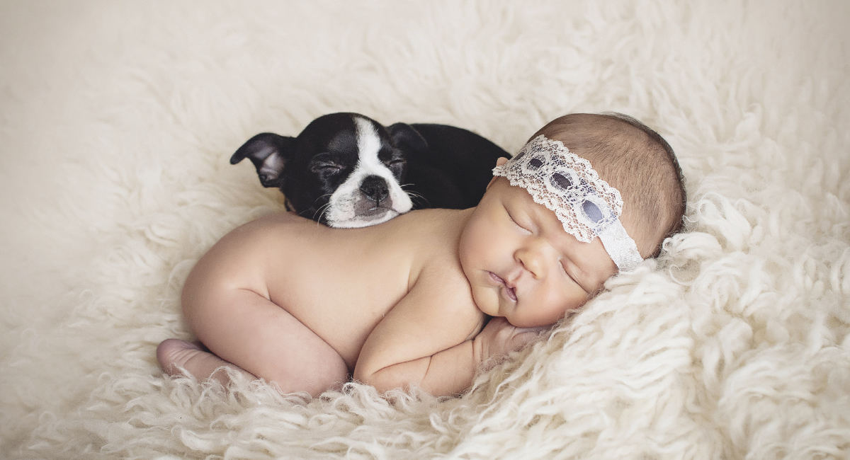 Will people who want to protect puppies also protect babies?