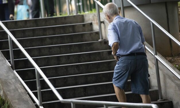 Europe must prepare for a new demographic reality