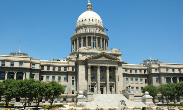 Idaho Republicans Urge State Libraries To Ditch American Library Association After It Promoted Porn To Kids