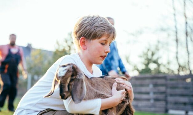 New traditional Catholic school provides boys with an authentically masculine education