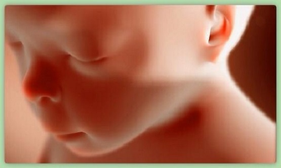 Republican Bill Would Provide Child Tax Credits for Unborn Children, Help Pregnant Moms