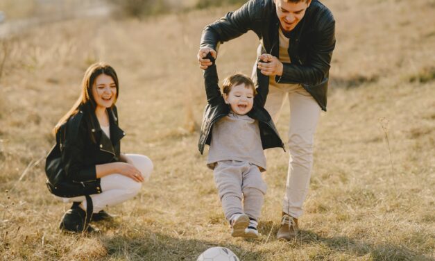 Is Limited Government the Best Pro-Family Policy?