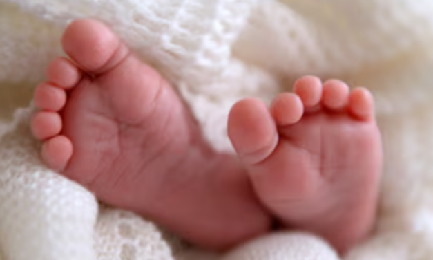 Decreasing birth rates leaves U.S. in peril