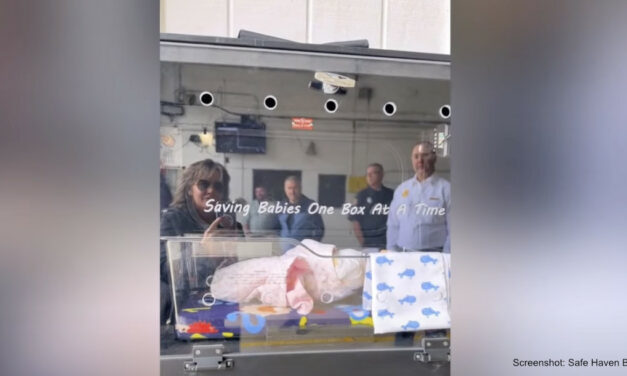 Newborn’s death prompts Iowa’s first Safe Haven Baby Box