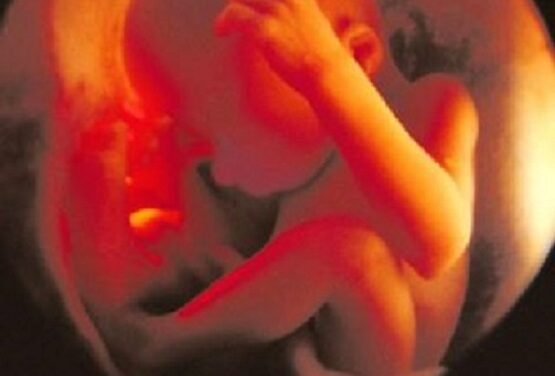 Pro-Life is Still Winning: 14 States Protect Babies From Abortion Throughout Pregnancy