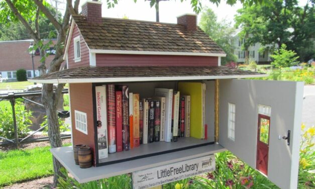 Queer Activists Are Putting Pornographic Books In Little Free Libraries