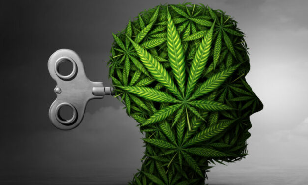 Marijuana Causing Psychosis in Young People, Legacy Media Late to Party