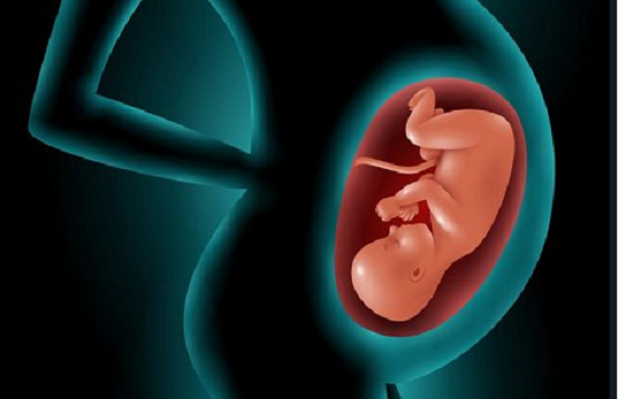 Republican Bill Would Allow Expecting Moms to Collect Child Support Payments While Pregnant