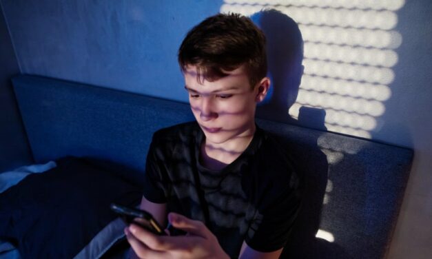 Combating Online Pornography: PACE Cites the Work of the ECLJ