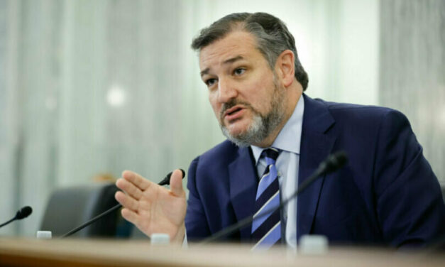 Ted Cruz, pro-life lawyer demand preservation of baby remains in DC abortion facility scandal