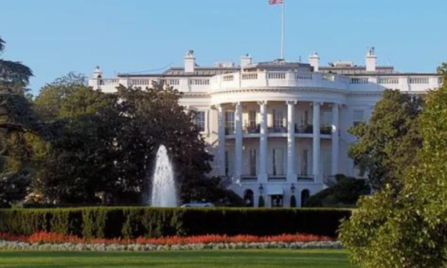 American Center for Law and Justice halts D.C.’s move to eliminate remains of babies subject to illegal abortions