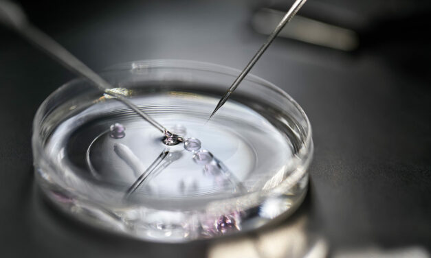 Scientists Put Human Embryos Into Artificial Wombs and Watch Them Die