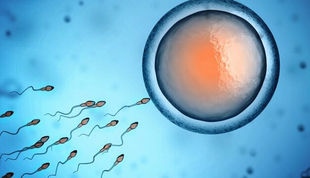 The Alabama Court Was Right, Unborn Babies are Human Beings Starting at Conception