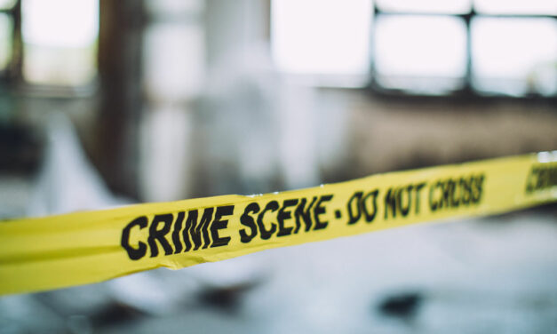 Police shocked to find body of deceased baby during traffic stop