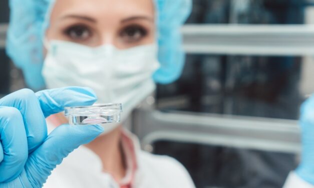 What is a frozen embryo worth?