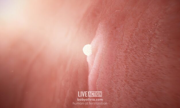 Kentucky lawmakers advance ‘Baby Olivia’ bill to require fetal development education