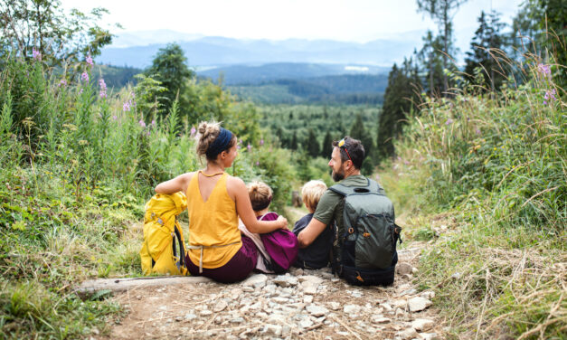 Make America Family-Friendly Again