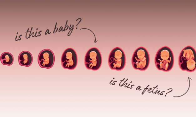 WHEN DOES A FETUS BECOME A BABY?
