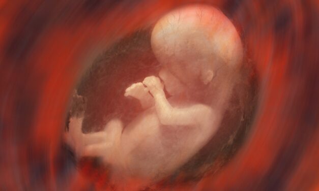 There is no morally significant difference between a human embryo and newborn