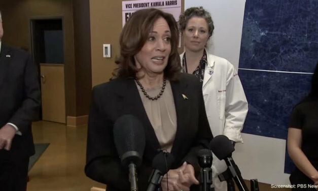VP Kamala Harris calls pro-lifers ‘immoral’ during visit to Minnesota Planned Parenthood