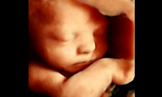 Harvard Law Journal Article Concludes Unborn Babies Have Constitutional Rights