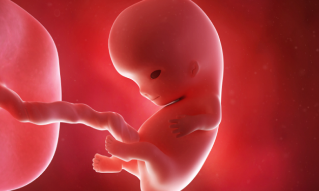 22 Pro-Life States Defend Their Pro-Life Laws From Joe Biden’s Attack