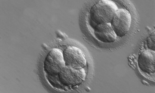 Nine Couples Sue Fertility Clinic For Allegedly Implanting ‘Dead Embryos’ During IVF Procedures