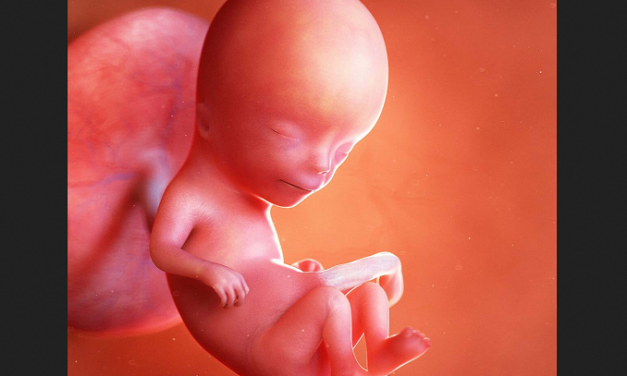 Pro-Life Groups Ask British Parliament to Defeat Measure Legalizing Abortions Up to Birth