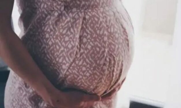 Rome to host conference on Casablanca Declaration against surrogacy