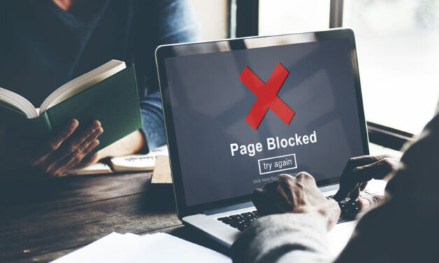 New Florida law requires age verification for online pornography, restricts social media for children