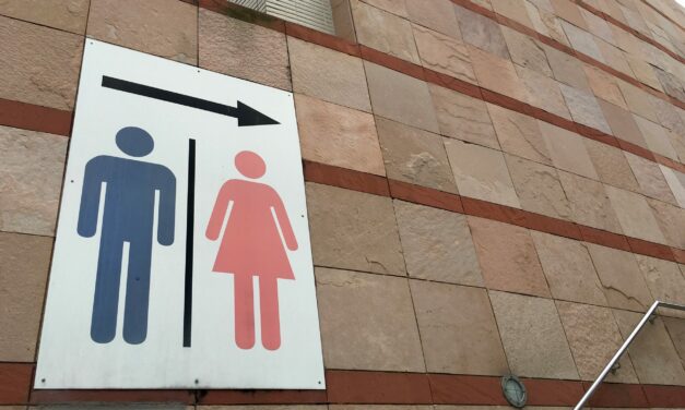 MIT, Harvard professors slam pro-LGBT phrase ‘sex assigned at birth’ in New York Times column