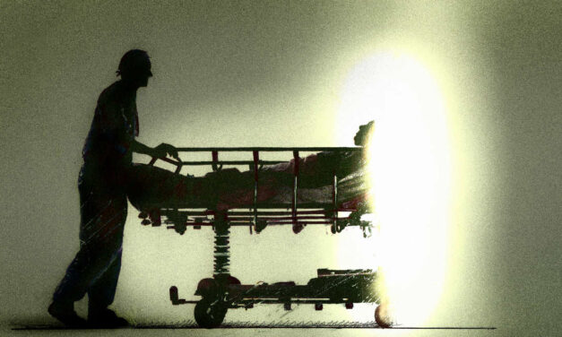 Mother horrified her presumed missing son was killed at euthanasia business