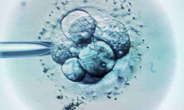 Texas Supreme Court considers case asking for personhood for frozen embryos