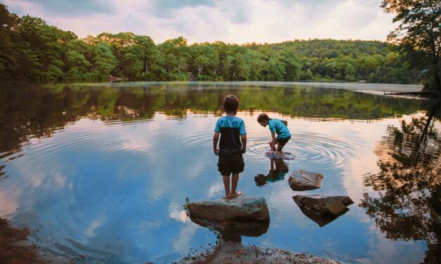 Free-Range Kids and the Parental Compass