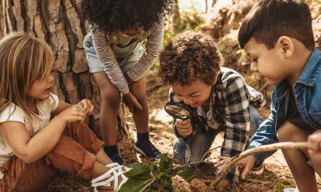 More Child Care Freedom, Higher Fertility?