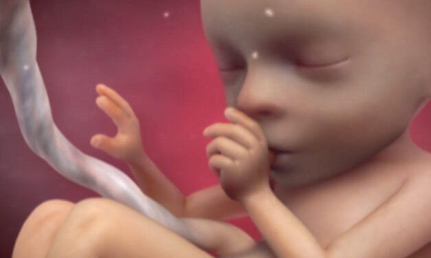 Hyde Amendment Has Saved 2.5 Million Babies From Abortions