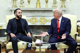 El Salvador President: It’s ‘Violence Against Women’ to Allow Transgender Competitors