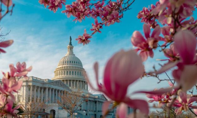 Proposed Budget Bill Defunds Abortion Providers Like Planned Parenthood