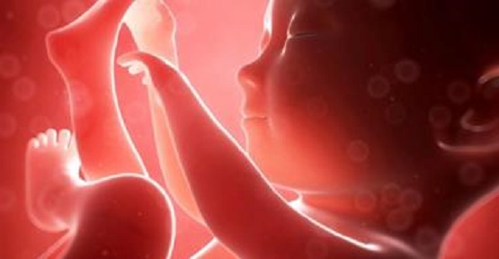 Court Shuts Down Every Abortion Clinic in Missouri