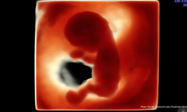 Nation of Jersey sees increased abortions for second year in a row