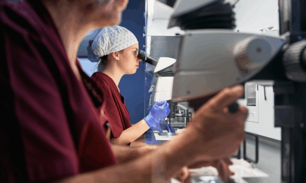 Devastating IVF bungles are leading to babies being implanted in the wrong mother