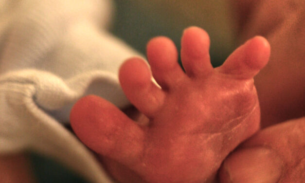 One-fourth of aborted children survived in one year… in one Canadian province