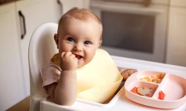 Federal Education Program Warned Teachers About Racist Babies, Made Old MacDonald Trans