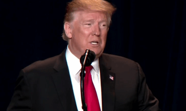 President Trump’s Religious Liberty Commission Condemns Lawfare Against Pro-Life Americans