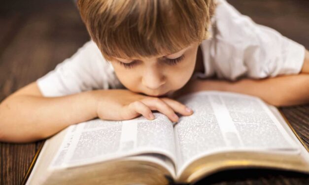 Brazilian Mother Prosecuted for Homeschooling
