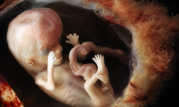 They Call Aborted Babies “Pregnancy Tissue” to Make Killing Babies Seem Better
