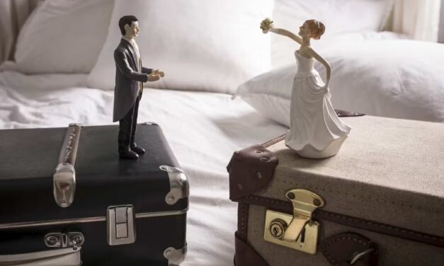 Unholy Alliances: How divorcing sex from procreation married two movements