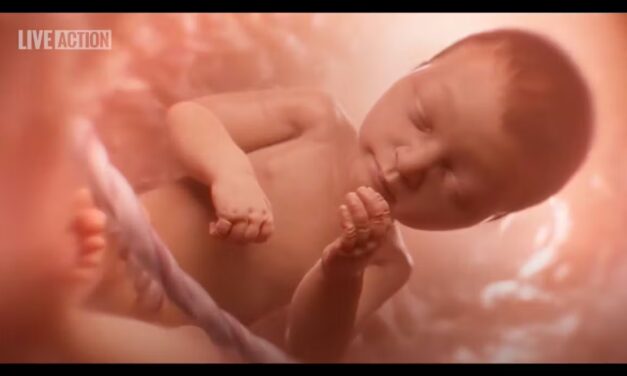 Ohio House passes ‘Baby Olivia’ prenatal development education bill