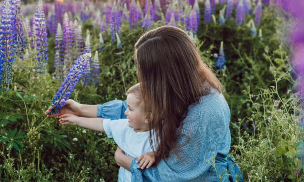 17, Homeless and Pregnant, She Rejected Abortion. Now Her Son is a CEO